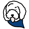 dogicon-blue dogicon-blue