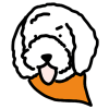 dogicon-orange dogicon-orange